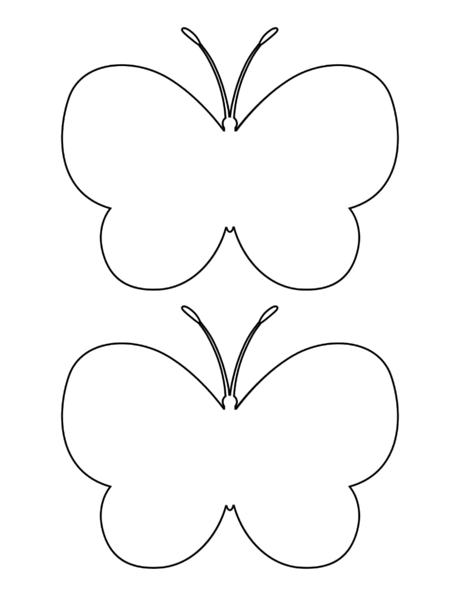Butterfly Outline Medium Kids Coloring Pages Pdf Free Vectors